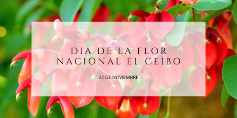 Dia de la Flor Nacional