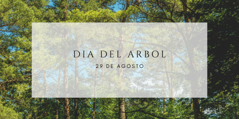 Día del Árbol