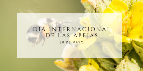 Día Internacional de las Abejas