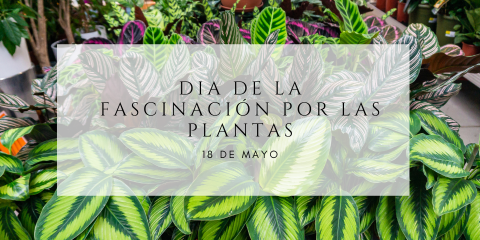 Día de la Fascinación por las plantas