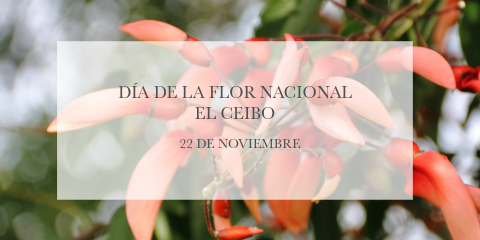 Dia de la Flor Nacional