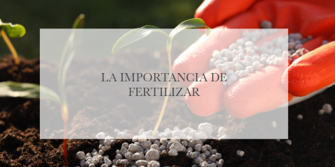 La importancia de Fertilizar