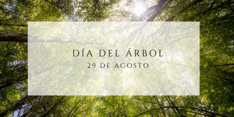 Día del arbol