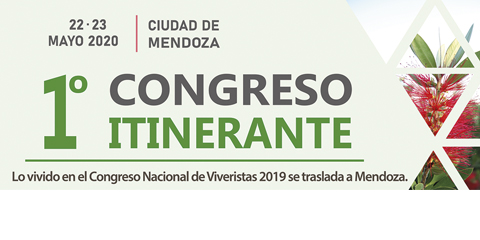 SUSPENDIDO…