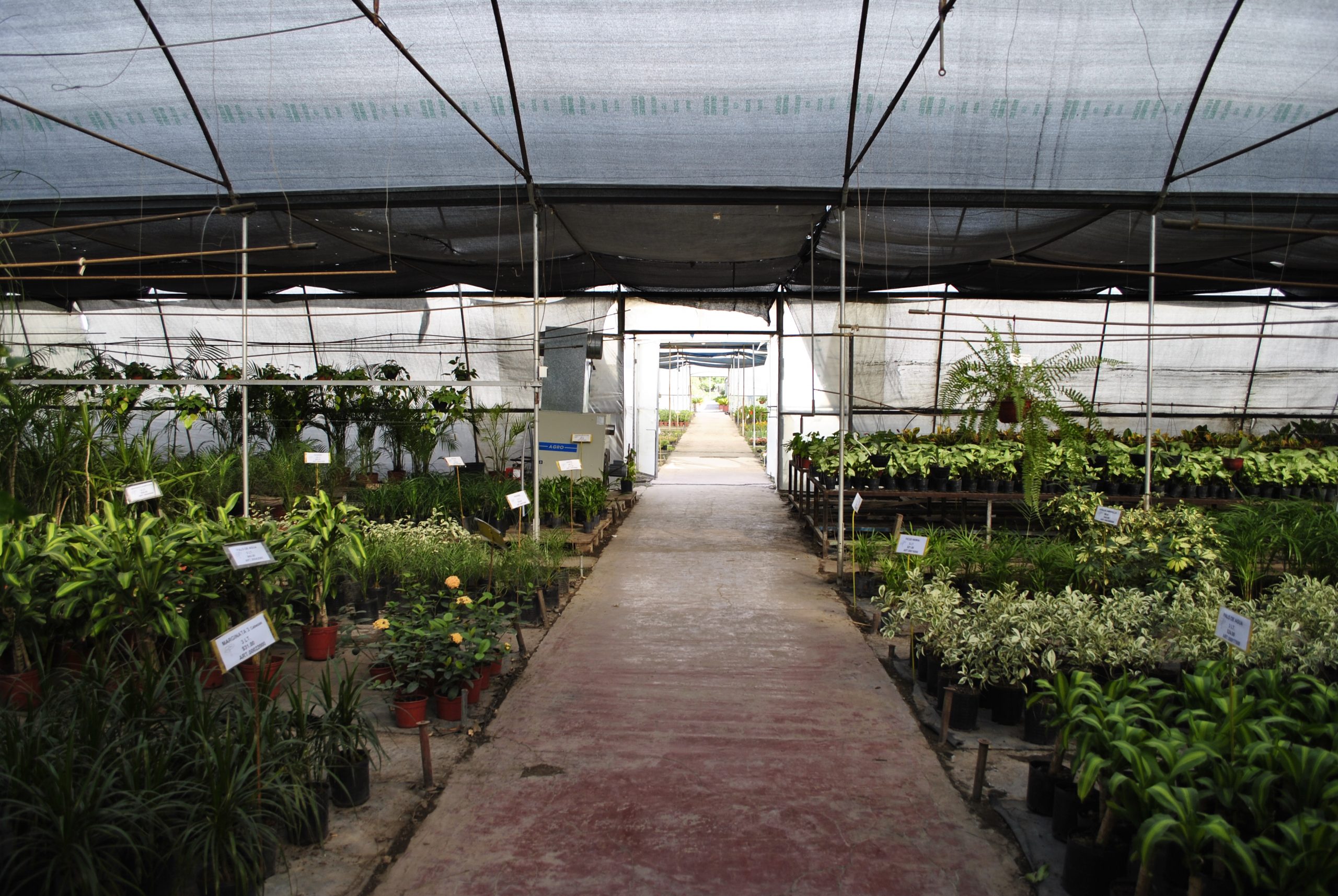 VIVERO BERLIN