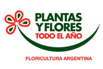 Promoción